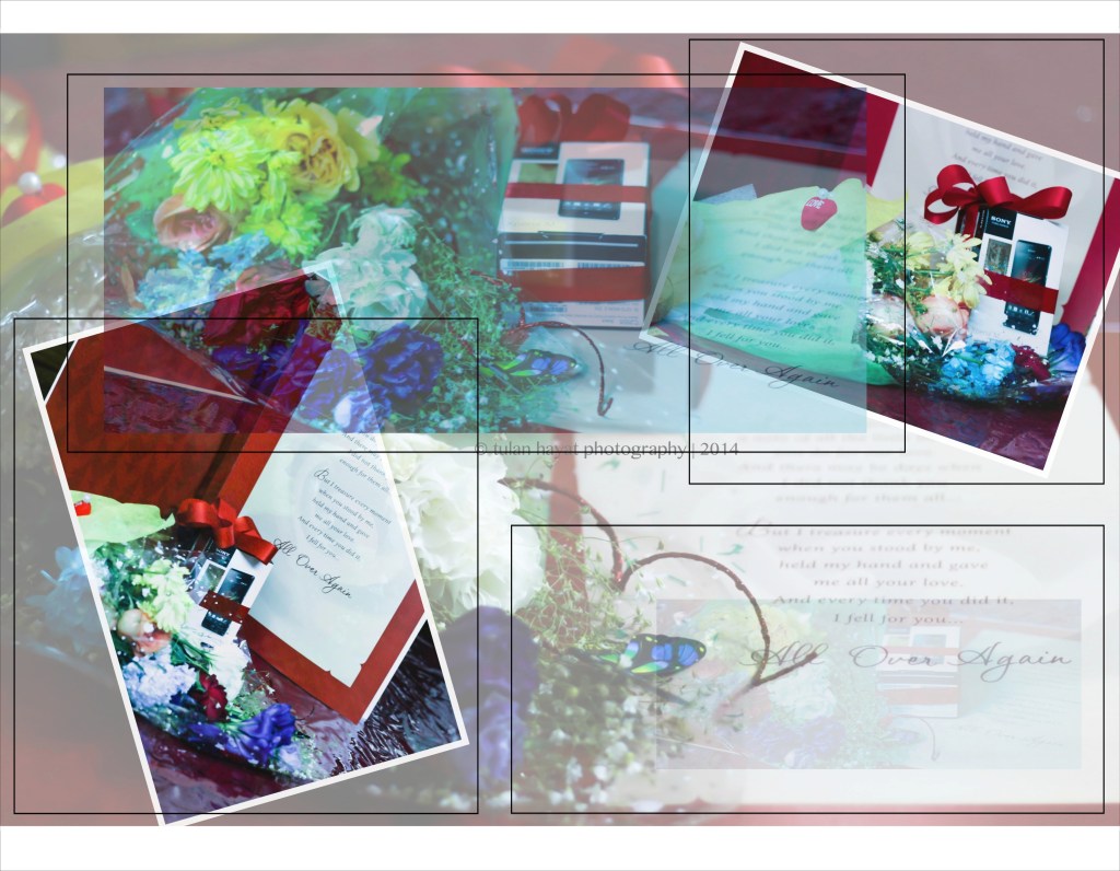 IMG_5566_Fotor_Collage