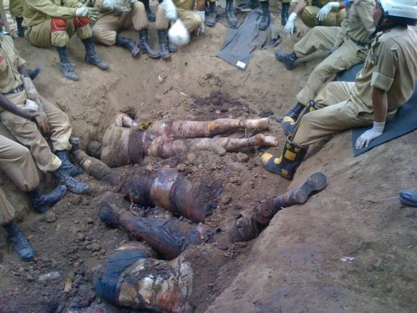 n733016092_2632602_4209843