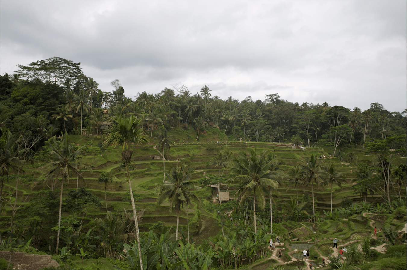 Screen Shot 2018-09-08 at 11.52.38 PM