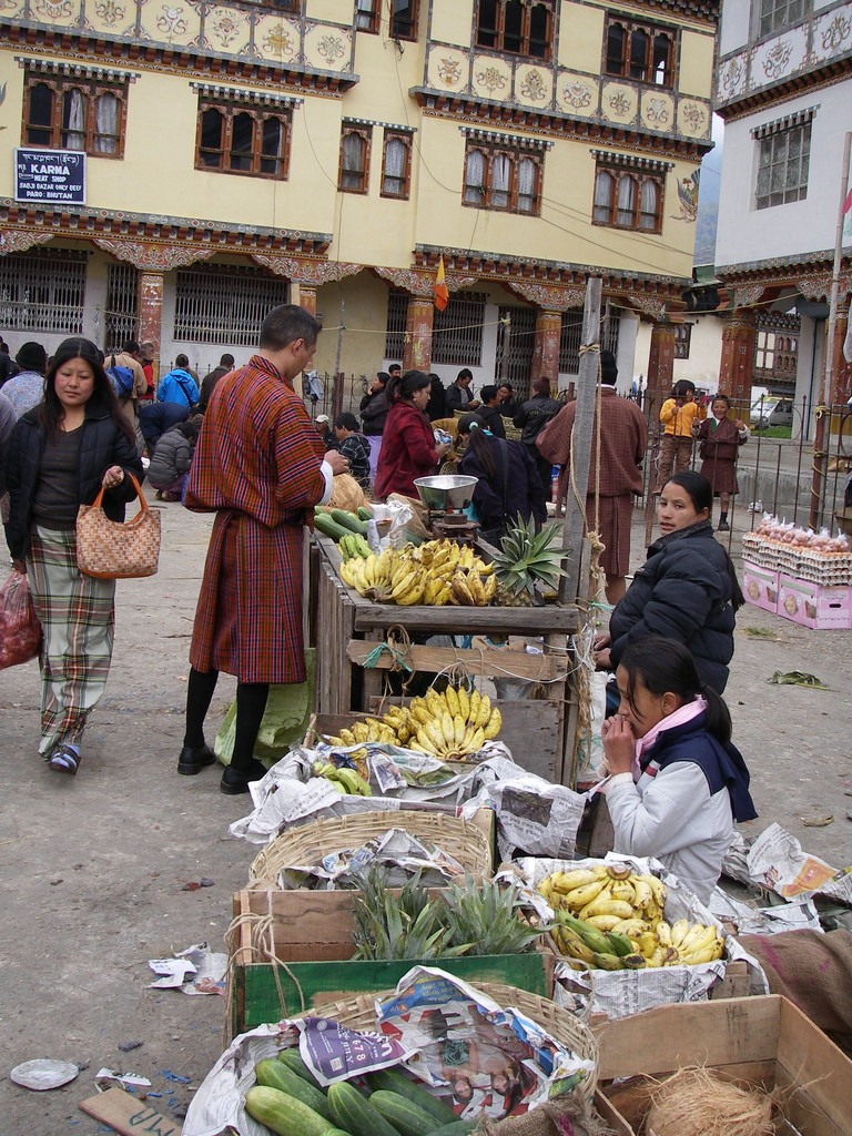 5202952101_8b494d84e1_b