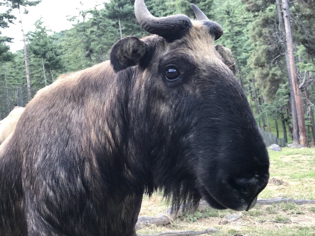 fc3797e4bfc36d55862a109c20c61503