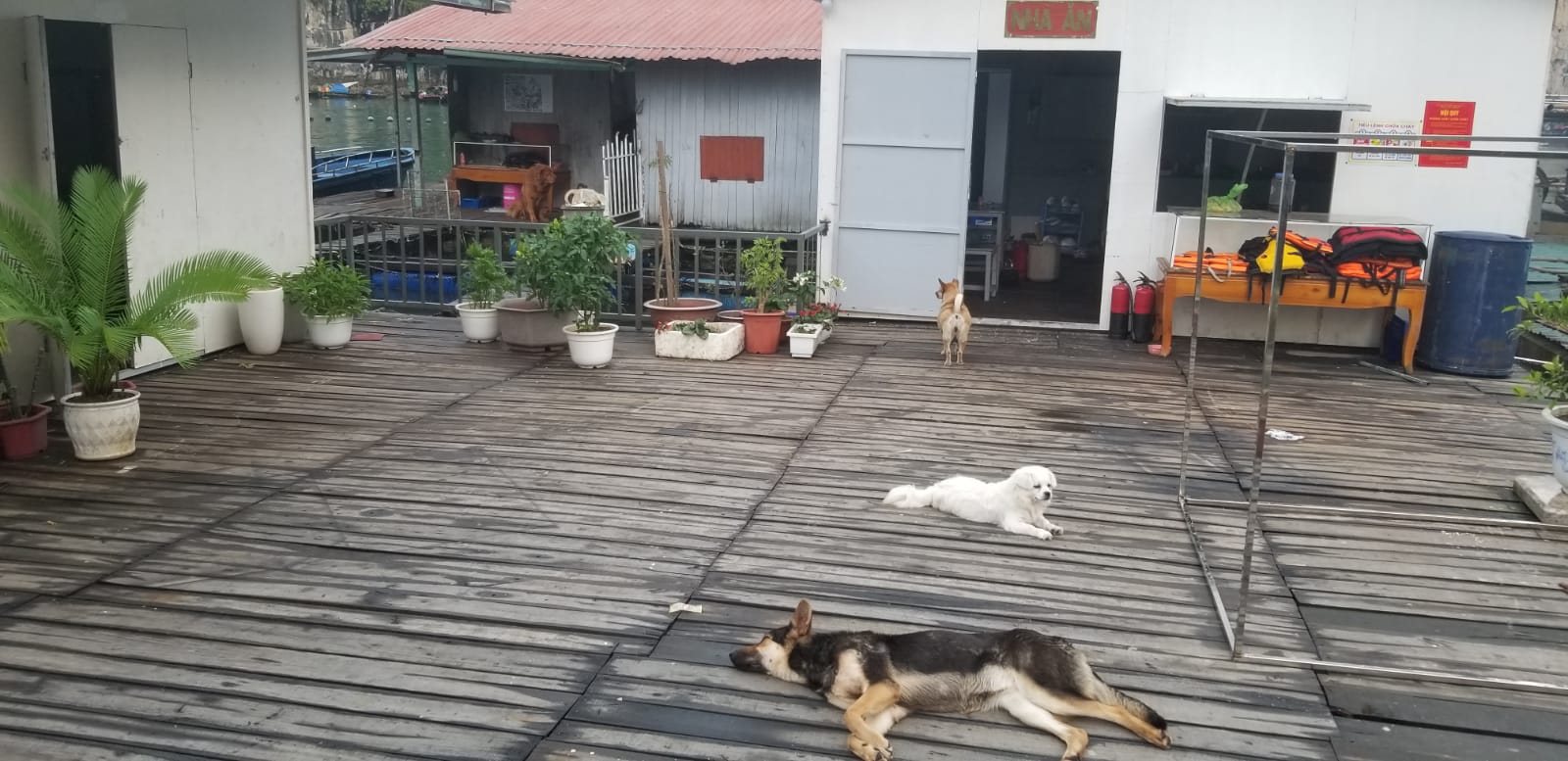 PHOTO-2019-05-01-00-31-36