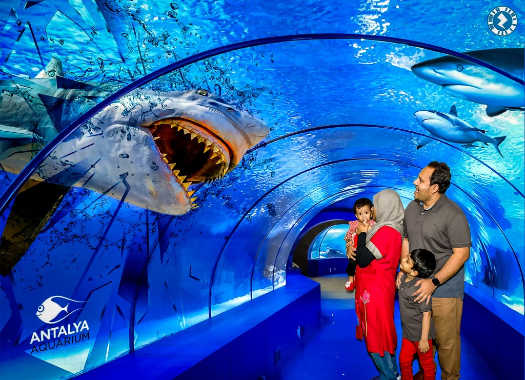 AROUND THE WORLD IN 40 YEARS ::: ANTALYA, PAMMUKALE&nbsp;TURKIYE-2022